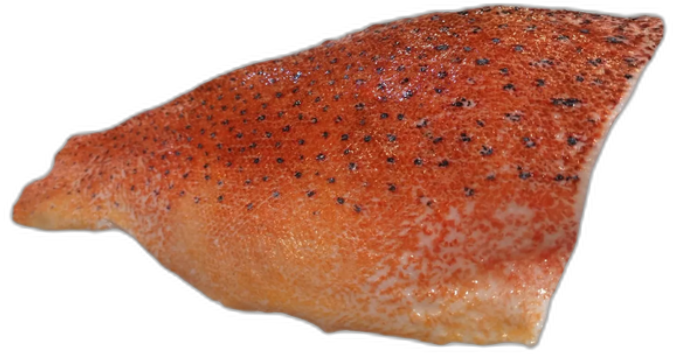 Choral Grouper Fillet