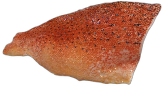 Choral Grouper Fillet