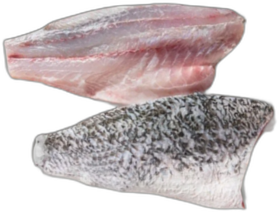 Fresh Barramundi Fillet