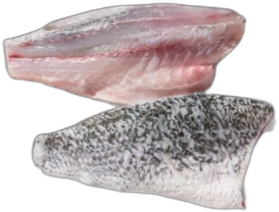 Fresh Barramundi Fillet
