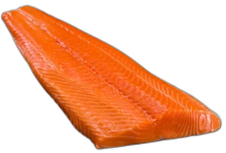 Fresh Norwegian Trout Fillet