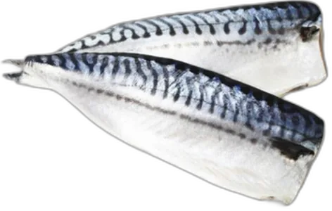 Saba Mackerel Fillet