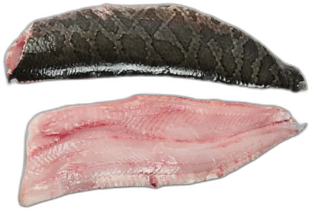 Sneakhead Fish Fillet