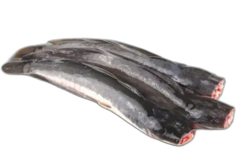 Catfish