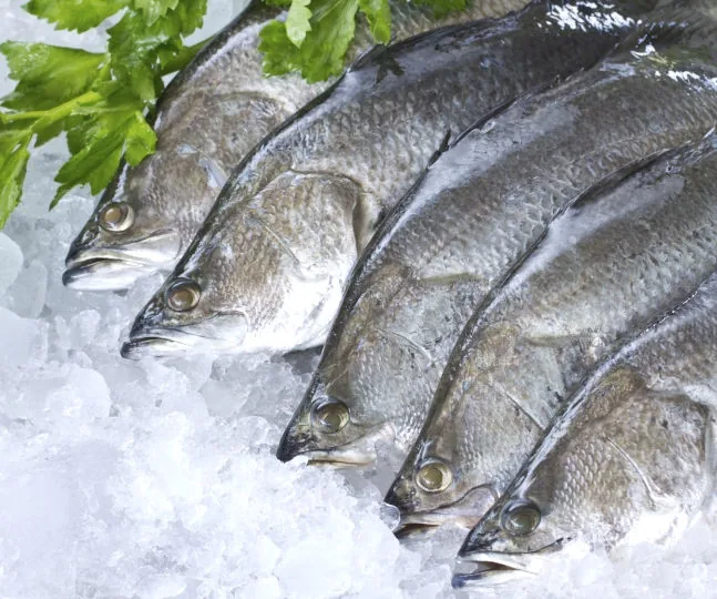 Whole Fish