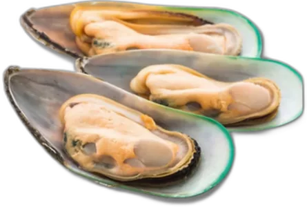 Greenshell Mussels