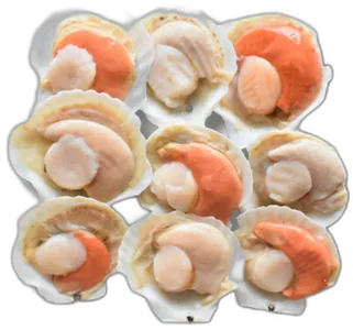 Halfshell Scallop