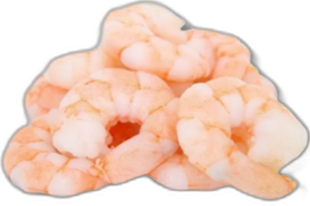 Shrimp Meat