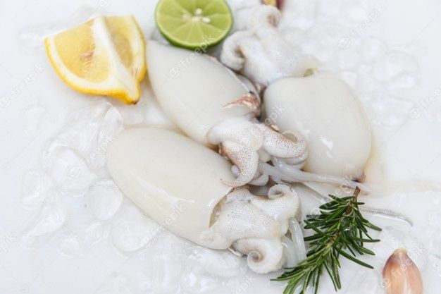 Squid