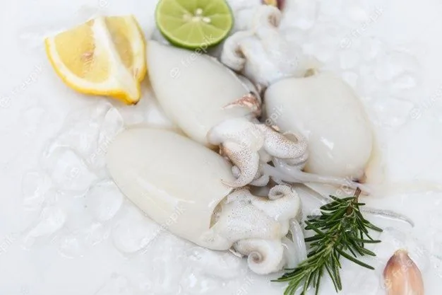 Squid